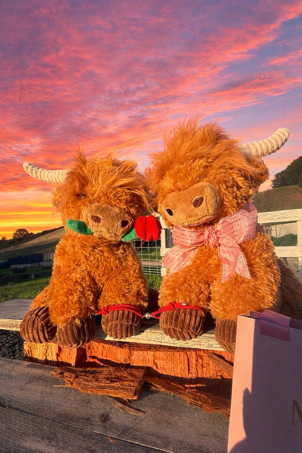 2 Vaquitas Enlazadas – con Pulseras Magnéticas