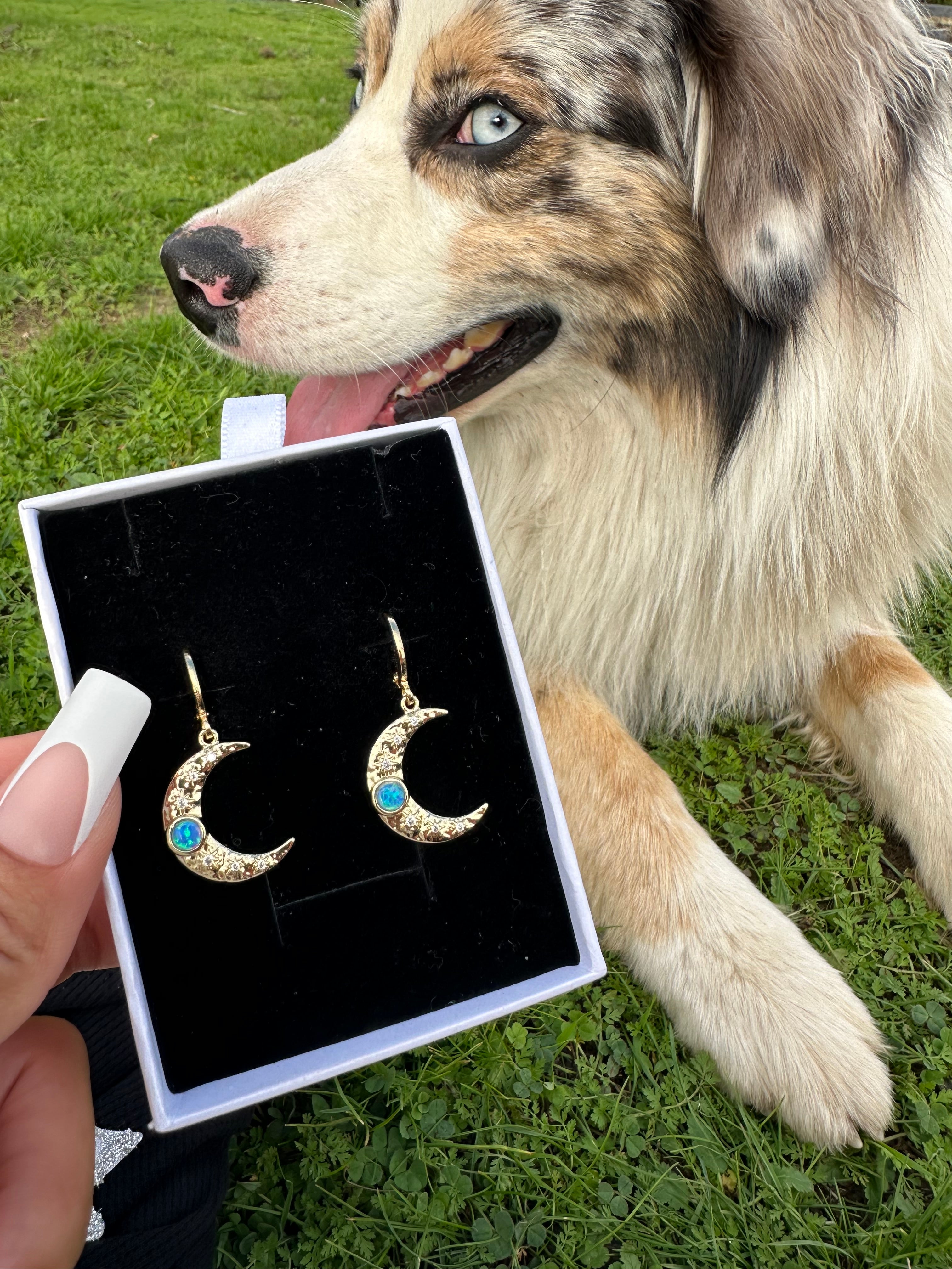 Celestial Moon Earrings