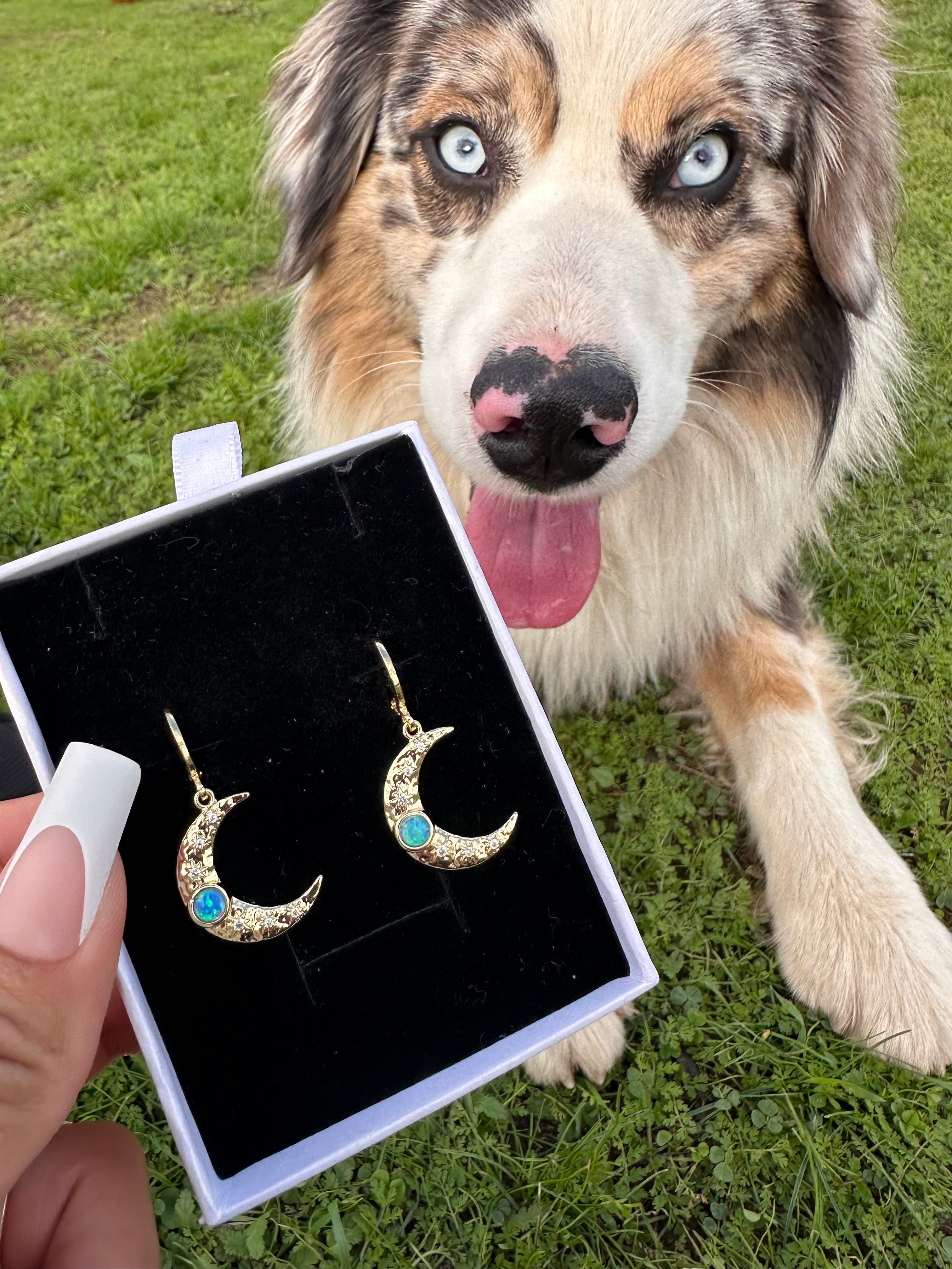 Celestial Moon Earrings