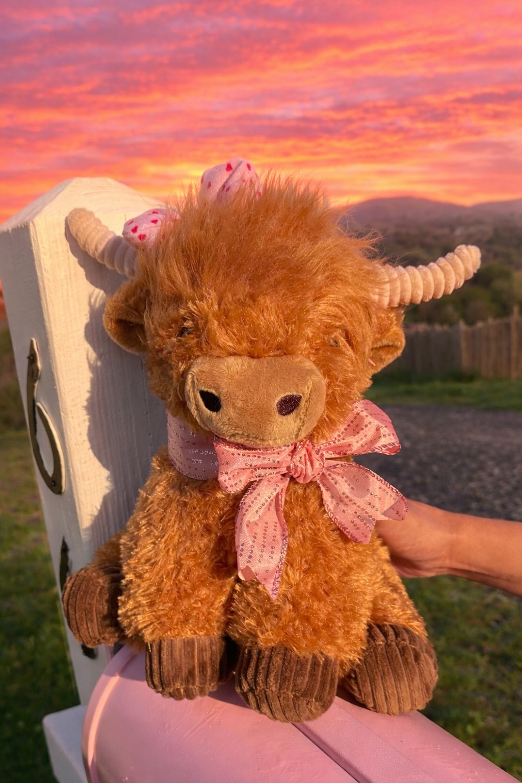 Vaquita Rosita para San Valentin