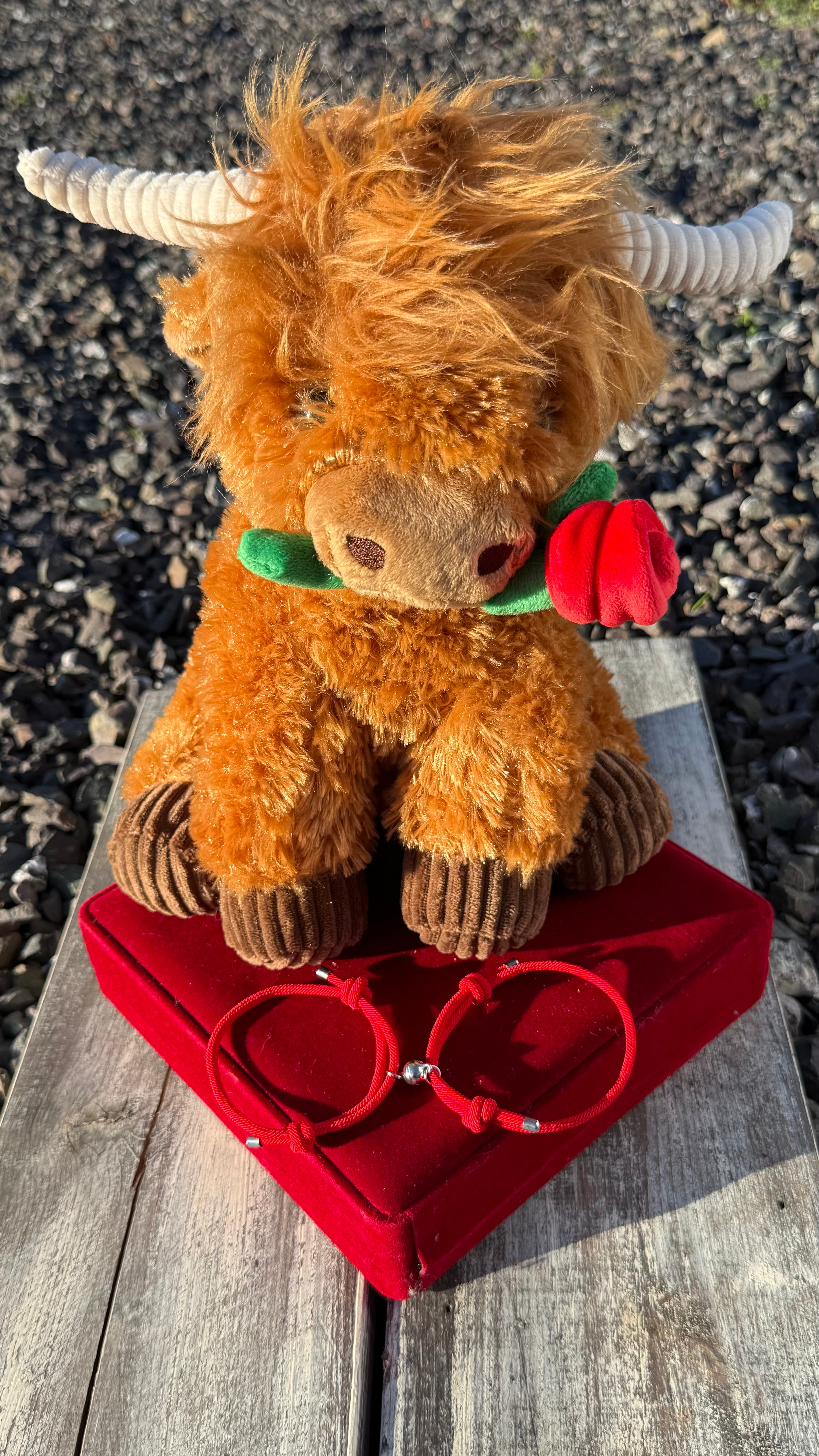 2 Vaquitas Enlazadas – con Pulseras Magnéticas