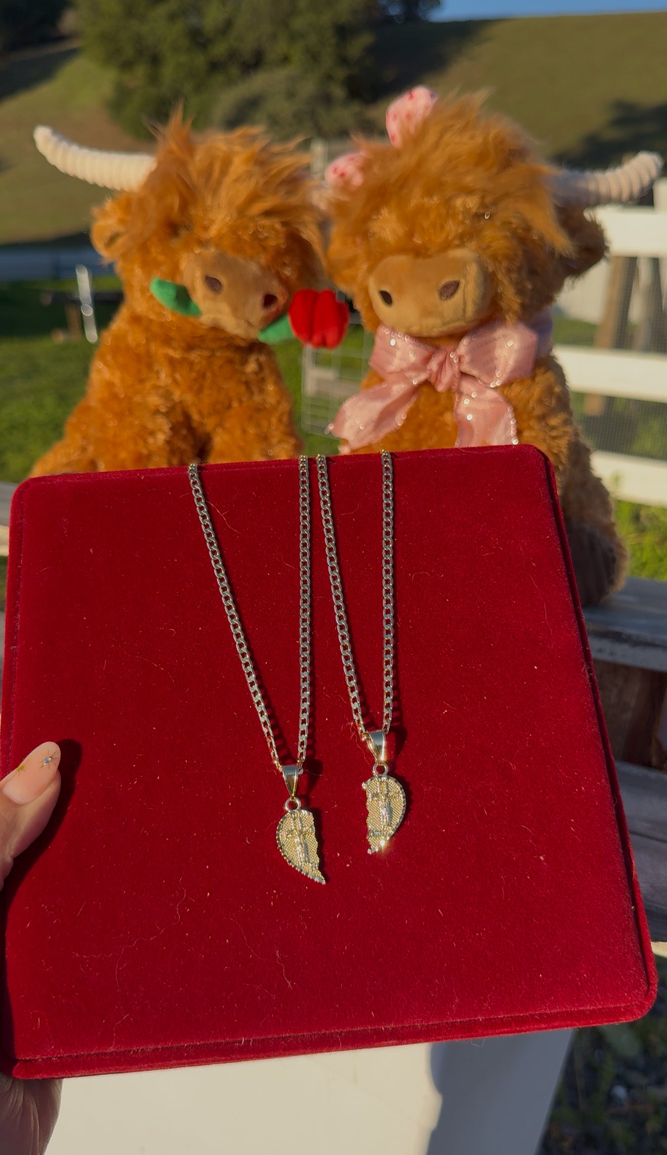 2 Vaquitas – con Corazon de Te Amo