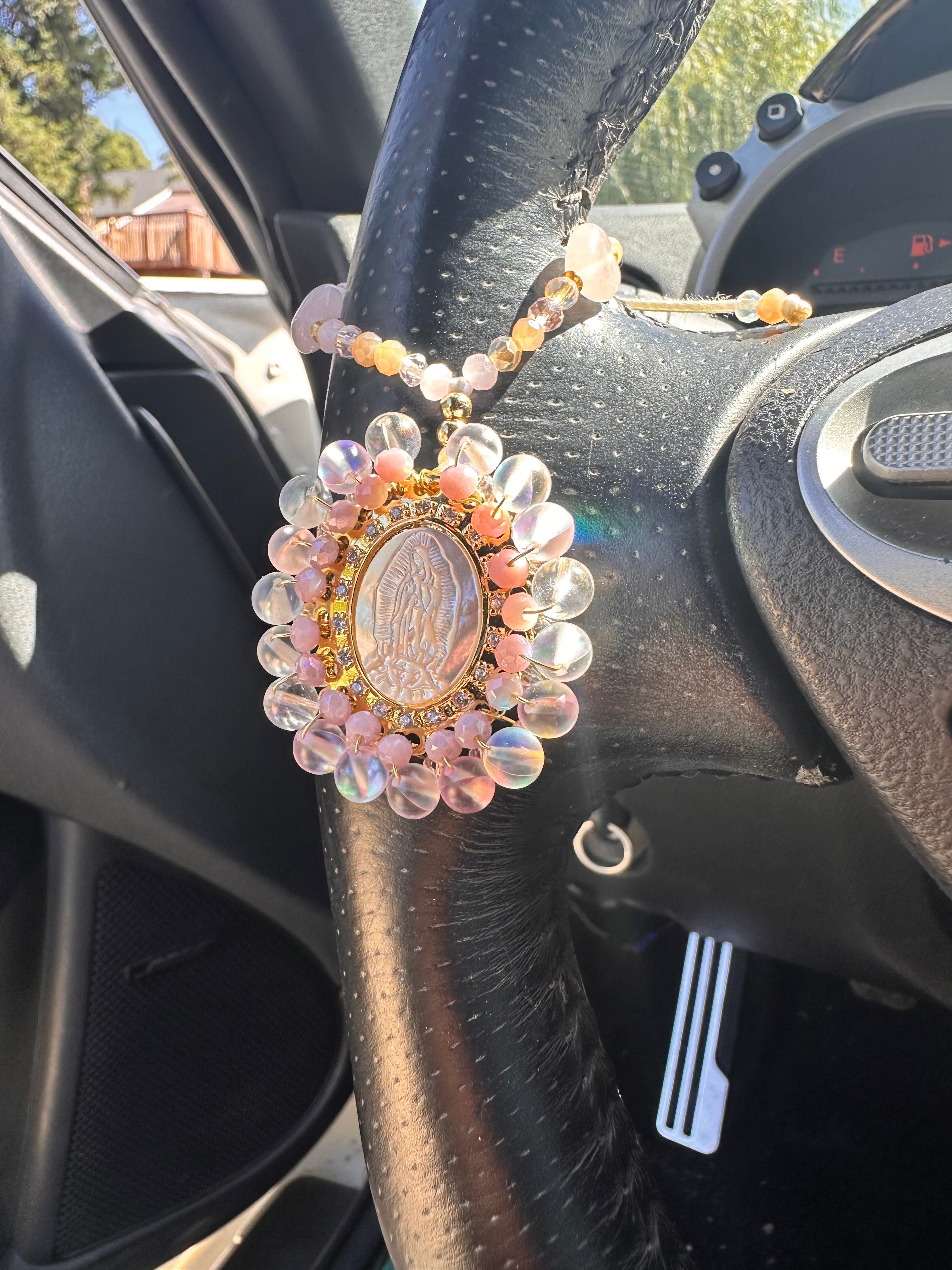 Protegida en Camino Car Accessory