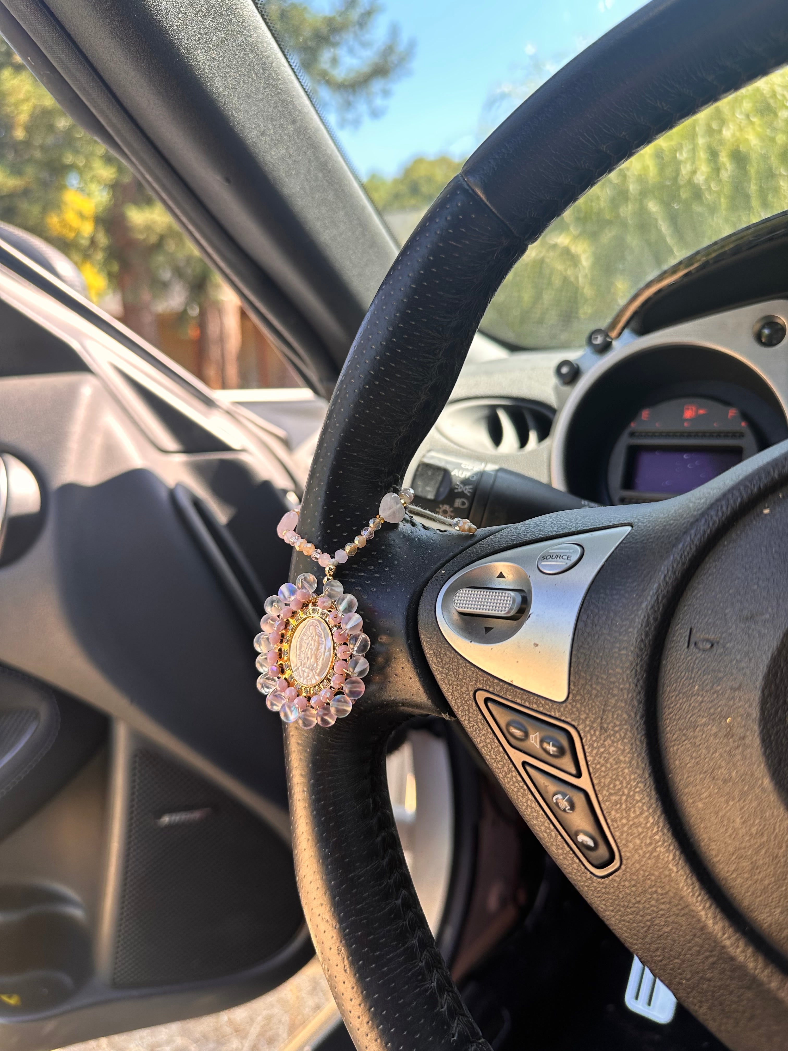 Protegida en Camino Car Accessory