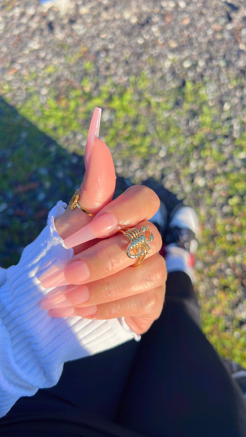 Anillo Escorpión Oro