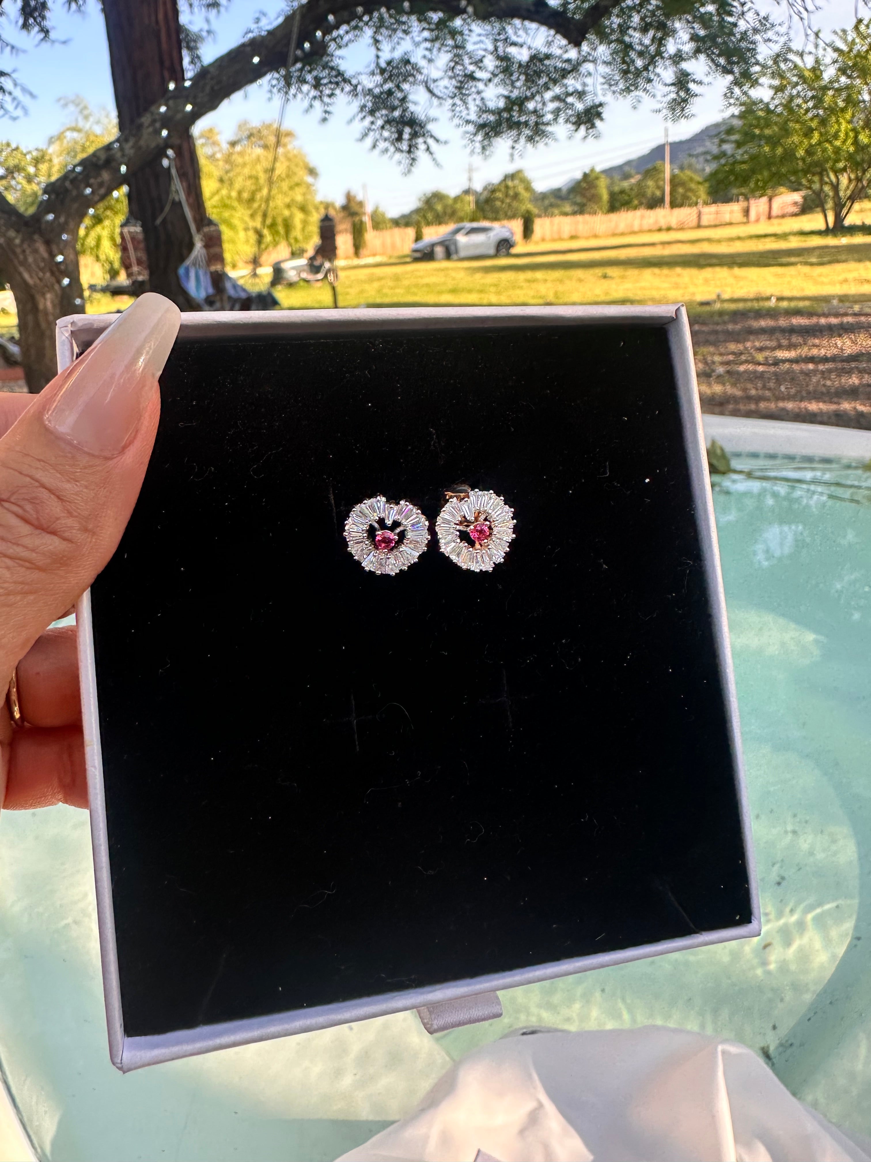 Crystallised Heart Earrings