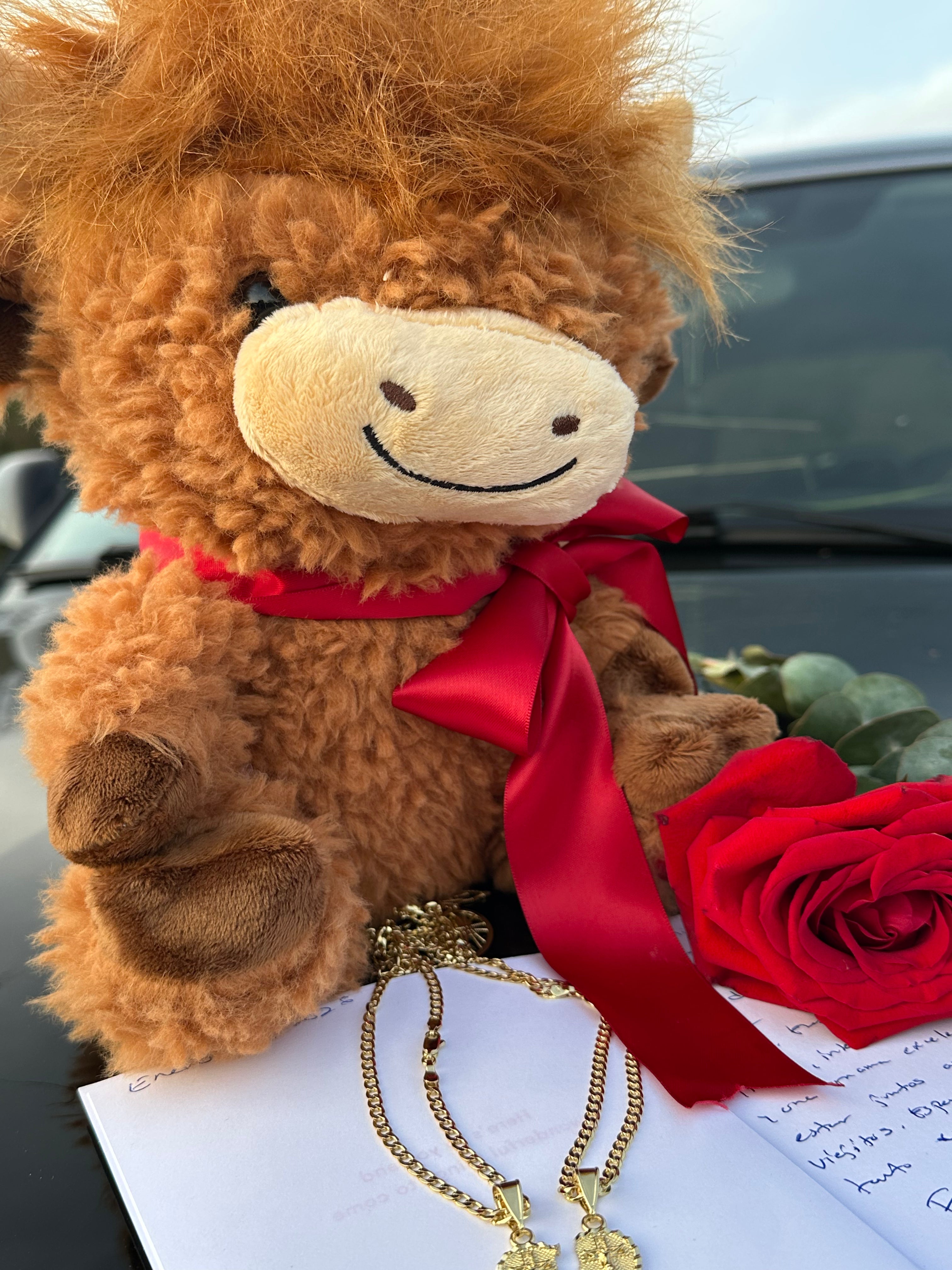 Vaquita con Cadenas de Te Amo