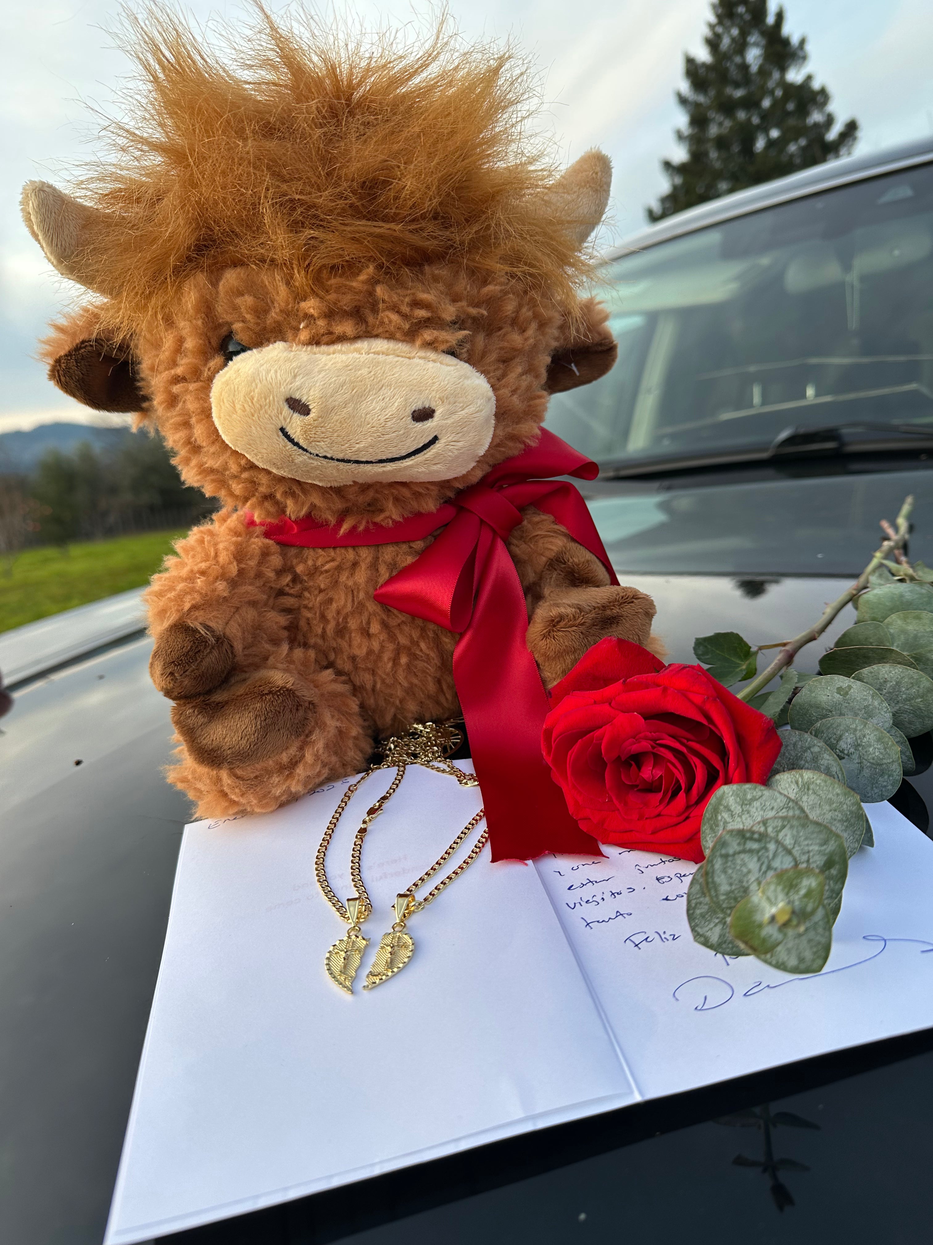 Vaquita con Cadenas de Te Amo