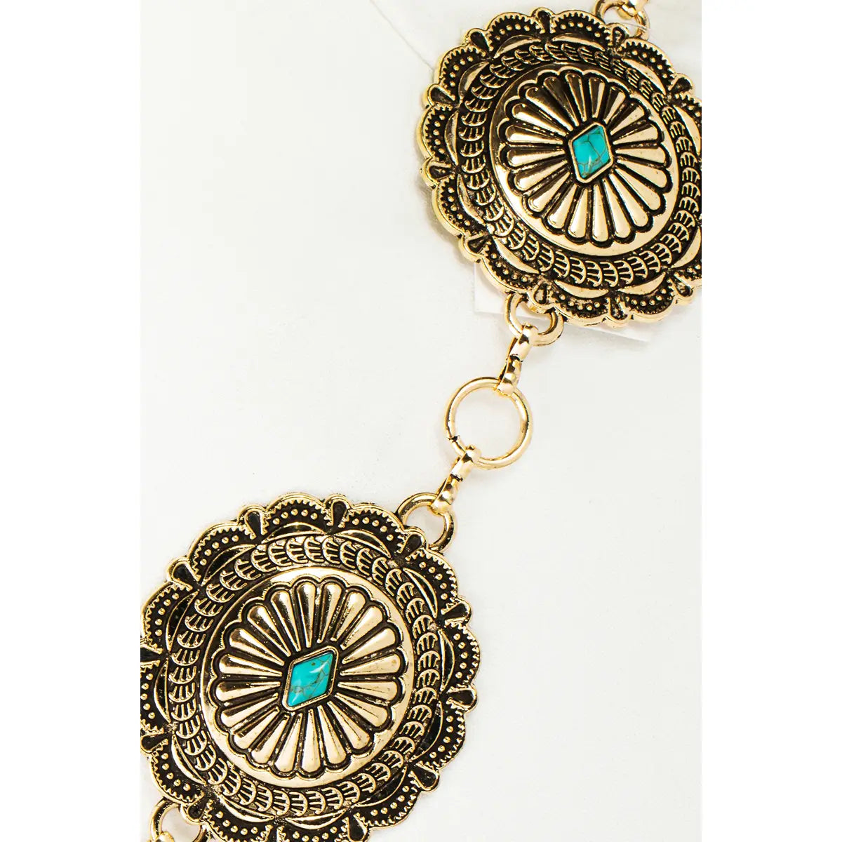 Western Joshua Belt