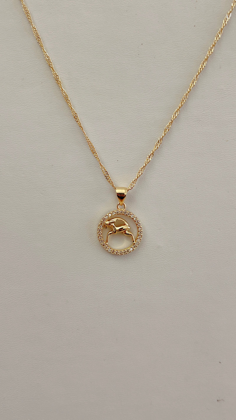 Diamond Zodiac Necklace