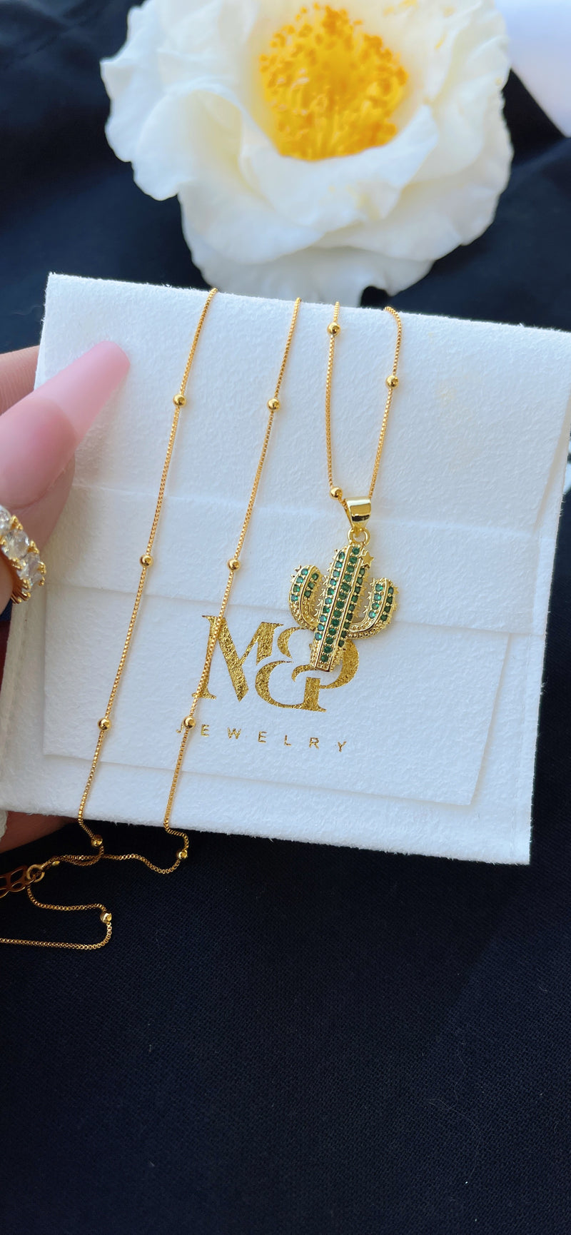 Collar de cactus